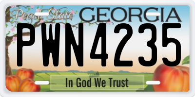 GA license plate PWN4235