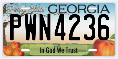 GA license plate PWN4236