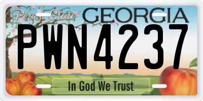 GA license plate PWN4237