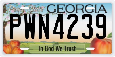 GA license plate PWN4239