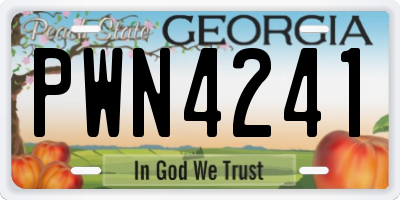 GA license plate PWN4241