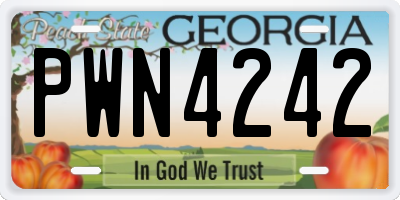 GA license plate PWN4242