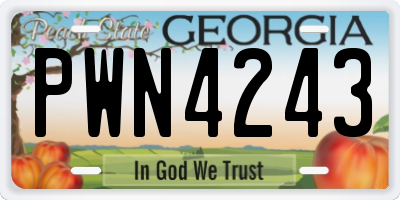 GA license plate PWN4243