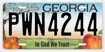 GA license plate PWN4244