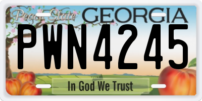 GA license plate PWN4245
