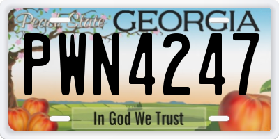 GA license plate PWN4247