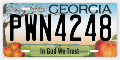 GA license plate PWN4248