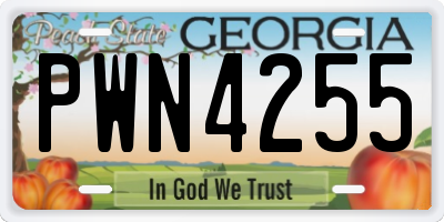 GA license plate PWN4255