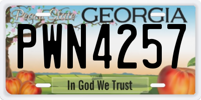 GA license plate PWN4257