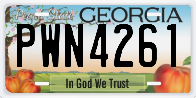 GA license plate PWN4261