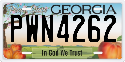 GA license plate PWN4262