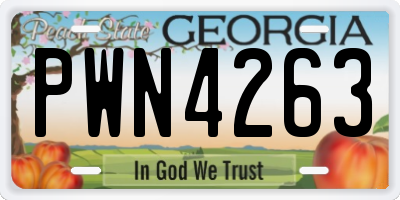 GA license plate PWN4263