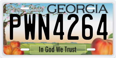 GA license plate PWN4264