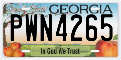 GA license plate PWN4265