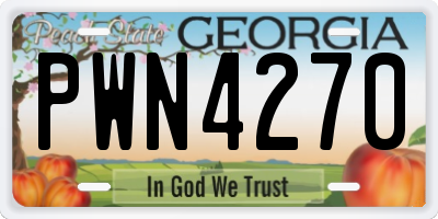 GA license plate PWN4270