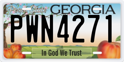 GA license plate PWN4271