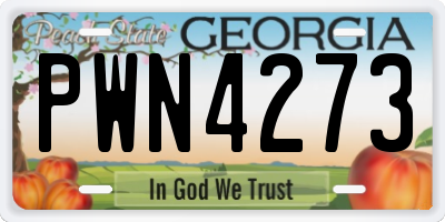 GA license plate PWN4273