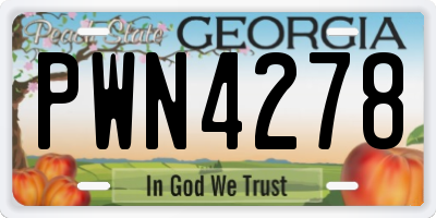 GA license plate PWN4278