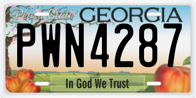GA license plate PWN4287