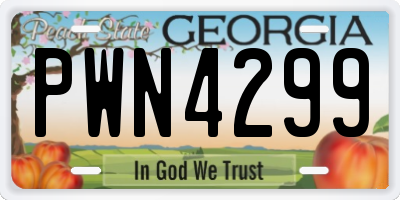 GA license plate PWN4299