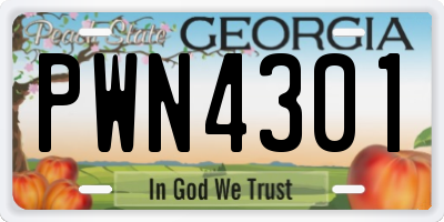 GA license plate PWN4301