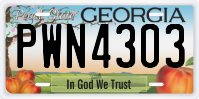 GA license plate PWN4303