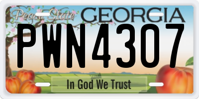 GA license plate PWN4307
