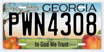 GA license plate PWN4308