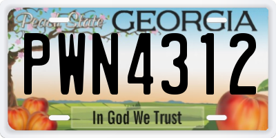 GA license plate PWN4312