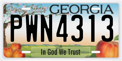 GA license plate PWN4313