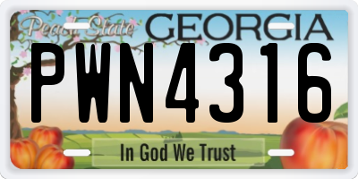 GA license plate PWN4316