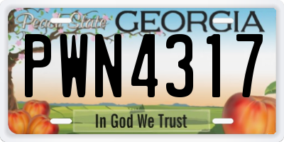 GA license plate PWN4317
