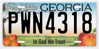 GA license plate PWN4318