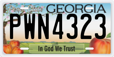 GA license plate PWN4323
