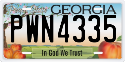 GA license plate PWN4335