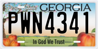 GA license plate PWN4341