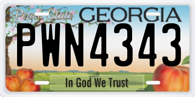 GA license plate PWN4343