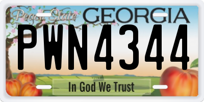 GA license plate PWN4344
