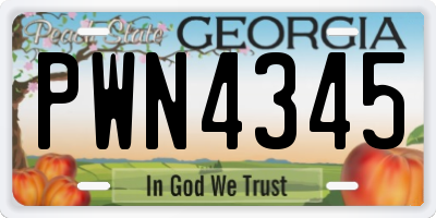 GA license plate PWN4345