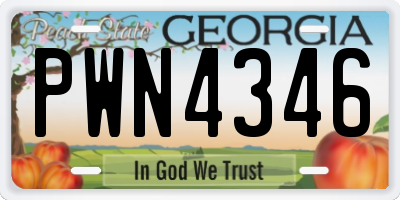 GA license plate PWN4346