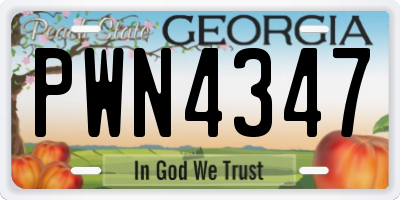 GA license plate PWN4347