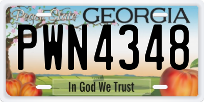 GA license plate PWN4348