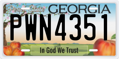 GA license plate PWN4351
