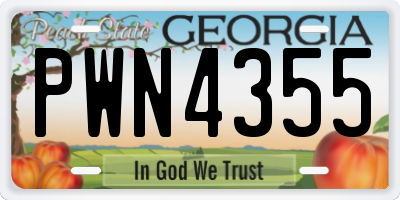 GA license plate PWN4355