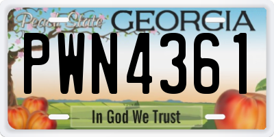 GA license plate PWN4361