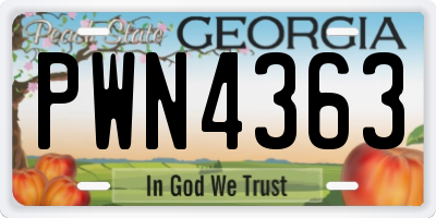 GA license plate PWN4363