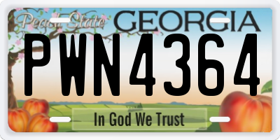 GA license plate PWN4364