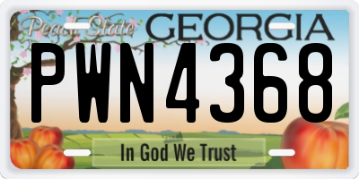GA license plate PWN4368