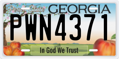 GA license plate PWN4371