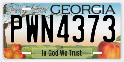 GA license plate PWN4373